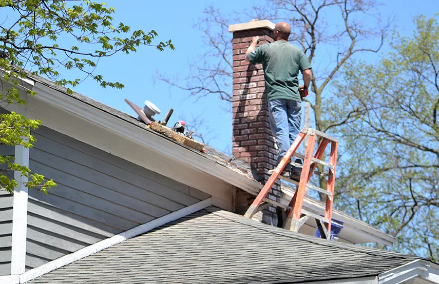 Chimney & Fireplace Inspections Services in Lochearn, MD